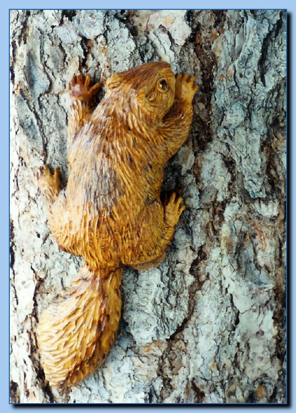 2-35 squirrel attached-archive